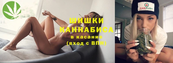 дживик Белокуриха
