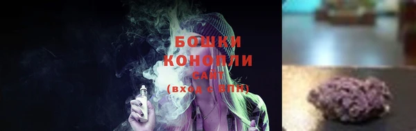 крисы Белоозёрский