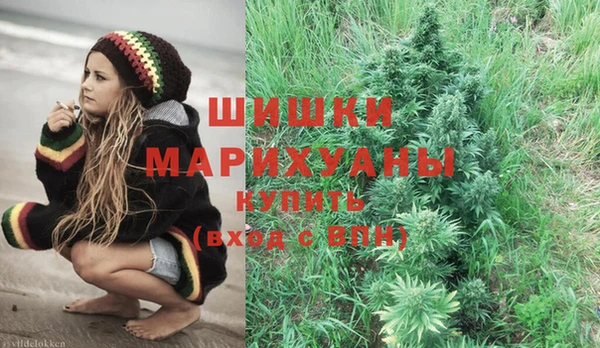 дживик Белокуриха