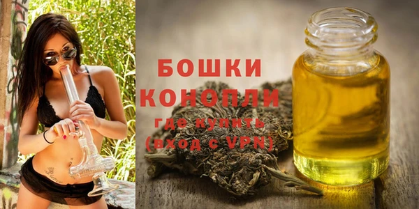 крисы Белоозёрский