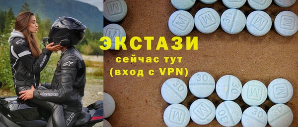 тгк Дмитриев