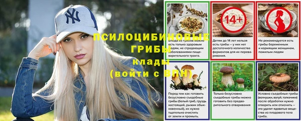 крисы Белоозёрский