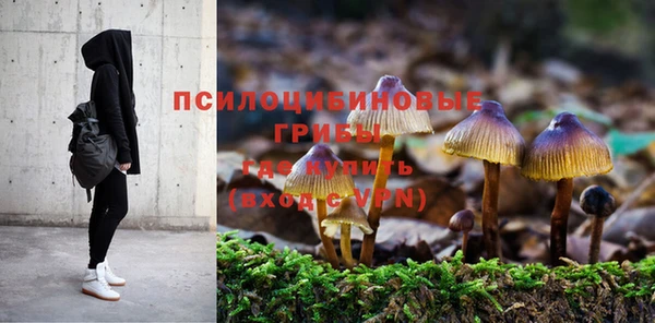крисы Белоозёрский